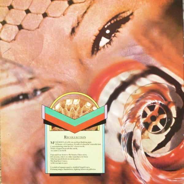 Rick Wakeman - Journey to the centre of the eart LP Vinilo VG+ Holandés