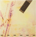Soda Stereo - Signos LP